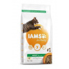 Iams Cat Adult Chicken 2kg