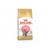 Royal Canin British Shorthair Kitten 10 kg