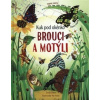 Brouci a motýli - Kuk pod okénko - Emily Bone