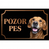 Zlatý retríver - Kovová tabuľka POZOR PES