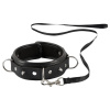 Bad Kitty spiked collar with dog collar