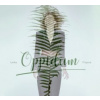Filipová Lenka - Oppidum / Digipack [CD]