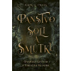Panstvo Soli a smútku - Craig Erin A.
