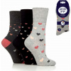 Dámske bavlnené ponožky Gentle Grip QUEEN OF HEARTS 3 páry