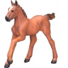 Mojo Animal Planet Arabské žriebä Chestnut