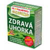 Floraservis UHORKA SADA 1 ks