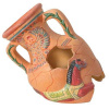 ZOLUX Dekorácia do akvárií AMPHORA 19cm (ZOLUX Dekorácia do akvárií AMPHORA 19cm)