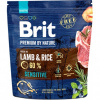 Brit Premium Dog by Nature Sensitive Lamb 1 kg