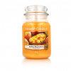 Yankee Candle Mango Peach Salsa 623 g