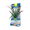 TETRA DecoArt Plantastics Premium Dragonflame umelá akváriová rastlina, 35 cm