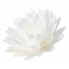 Vaflový kvet Rose Decor Aster Peoniový biely 12,5 cm