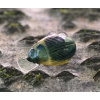 Wobler IMAGO Great Diving Beetle 4F -DG