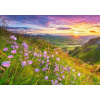 Castorland Harebells at Sunrise 500 dielov