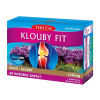 Terezia Company Klouby fit 60 kapsúl