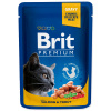 Brit Premium (VAFO Praha s.r.o.) Brit Premium Cat Pouches with Salmon & Trout 100 g