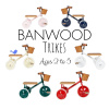 Banwood detská trojkolka, rôzne farby, 2+
