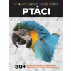Ptáci - Vybarvujeme podle čísel