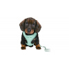 TRIXIE JUNIOR SOFT postroj s vodítkem pro štěňata, M-L: 36-50 cm, 2 m, mátová