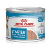 ROY ROYAL CANIN Starter Mousse Mother & Babydog - konzerva 195g