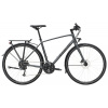 Trek FX 2 Disc 2023