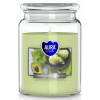 BISPOL Garden Mint & Avocado 500 g
