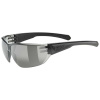 Uvex EQUATE Black matt smoke