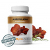 MycoMedica, AURICULARIA medicinálna huba, 90 kapsúl (Medicinálna huba)