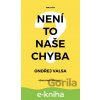 E-kniha Není to naše chyba? - Ondřej Valsa