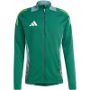 Adidas Tiro 24 Competition M sweatshirt IR5493 (191539) L