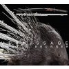 Vernissage /CD/ - Martin Brunner