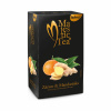 Biogena Majestic Tea Zázvor & mandarinka 20x2,5g (Ovocný čaj aromatizovaný, porcovaný)