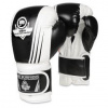 Boxerské rukavice DBX BUSHIDO B-2v3A 12oz