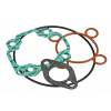 Tesnenie valca jog neos scarabeo RMS 100689020