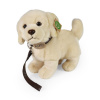 Plyšový pes zlatý retriever stojaci s vodítkom 25 cm ECO-FRIENDLY