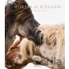 Horses of Iceland - Guadalupe Luiz