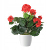 Kytice Umelé pelargónie pot - 3 kusy (Kytice Umelé pelargónie pot - 3 kusy)