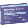 NBF Lanes Drenalase Pet Mini 20tbl