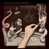 Chameleons - Strange Times / Vinyl / 2LP [2 LP]
