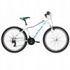 Horský bicykel - Romet Romet Rambler R7.1 Silver-Czerw-grafit 19 L (Romet Romet Rambler R7.1 Silver-Czerw-grafit 19 L)