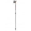 Leki Instructor Lite, dark anthracite-silvergray-bright red, 100 - 125 cm
