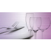 APE DECOR CUTLERY MALVA/LAVANDA I 31x60cm lesklý obklad 11mm dekor A016413