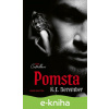 E-kniha Bratři Costellovi: Pomsta - K. E. December