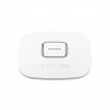 NETGEAR 2PT INSIGHT MNGED WIFI6 AX5400 CI (WAX628-111EUS)
