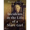 Incidents in the Life of a Slave Girl