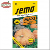 Tekvica plazivá SM Atlantic Giant MAXI 4sem.