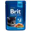 Brit Premium (VAFO Praha s.r.o.) Brit Premium Cat Pouches Chicken Chunks for Kitten 100 g