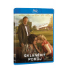 Skleněný pokoj BD