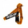 Julius-K9 IDC Color&Gray Belt Harness Orange - opaskový postroj, postroj pre psa, oranžový - Mini