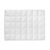 Perina, paplón - Prikrývka Amz Shamotuły 200 x 180 cm (Prikrývka 70% 180x200 Základný rok -1500 g)