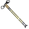 Trekingové palice nordic walking NILS EXTREME NW 603